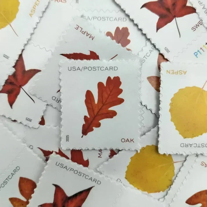 2025 Vibrant Leaves Postcard Stamps Colorful Autumn Leaf Designs, Roll Format